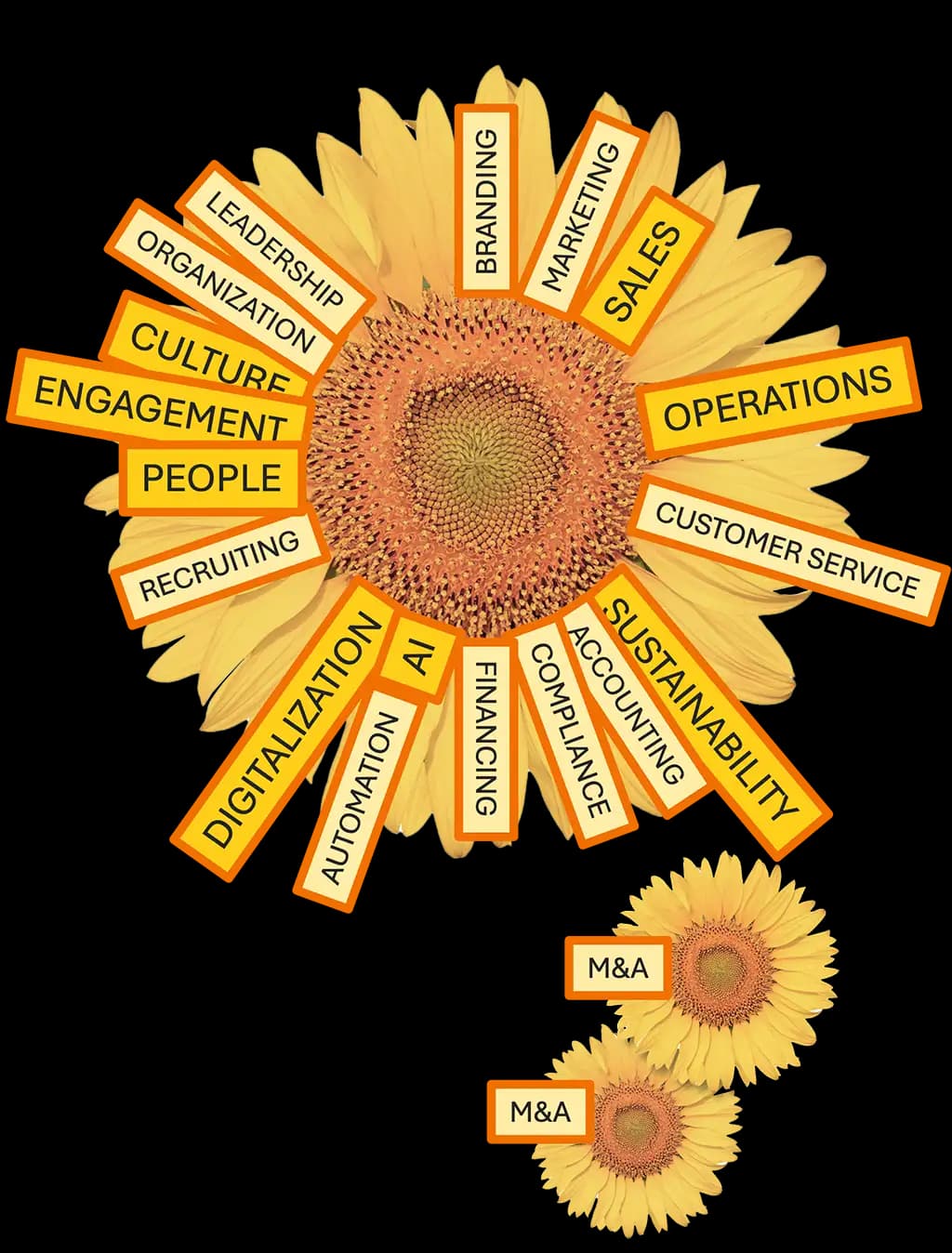 Morgon Equity Partners